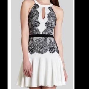 Bcbgmaxazria leyla dress